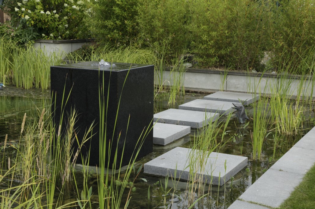 Swimming teich design › lütkemeyer `gärtner von eden´