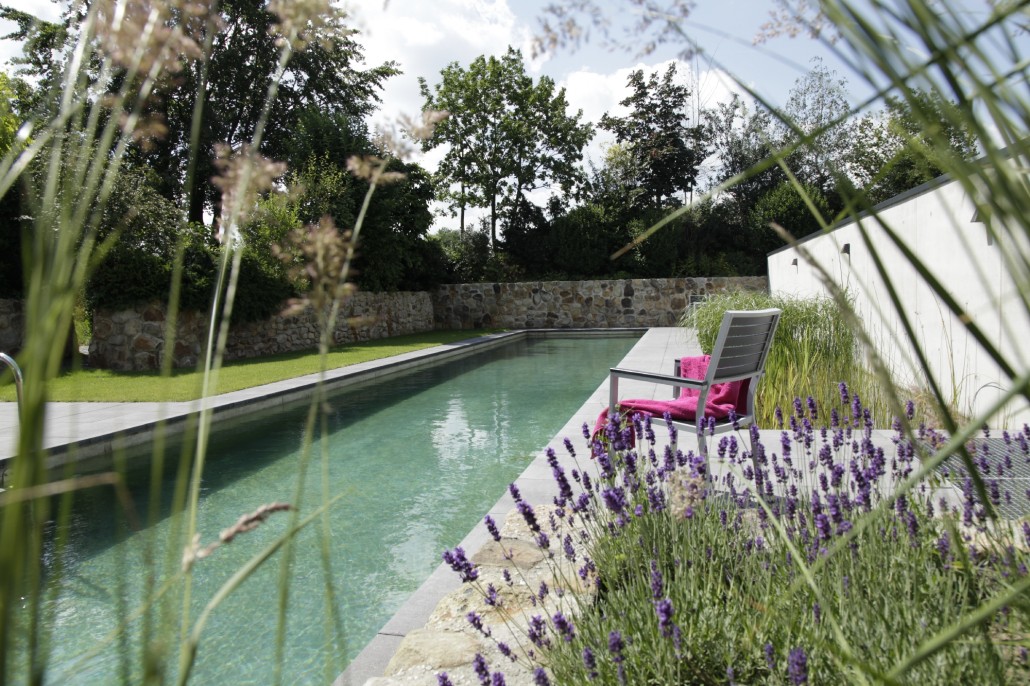 Biotop-Living-Pool-Bahnenschwimmer_MG_5341