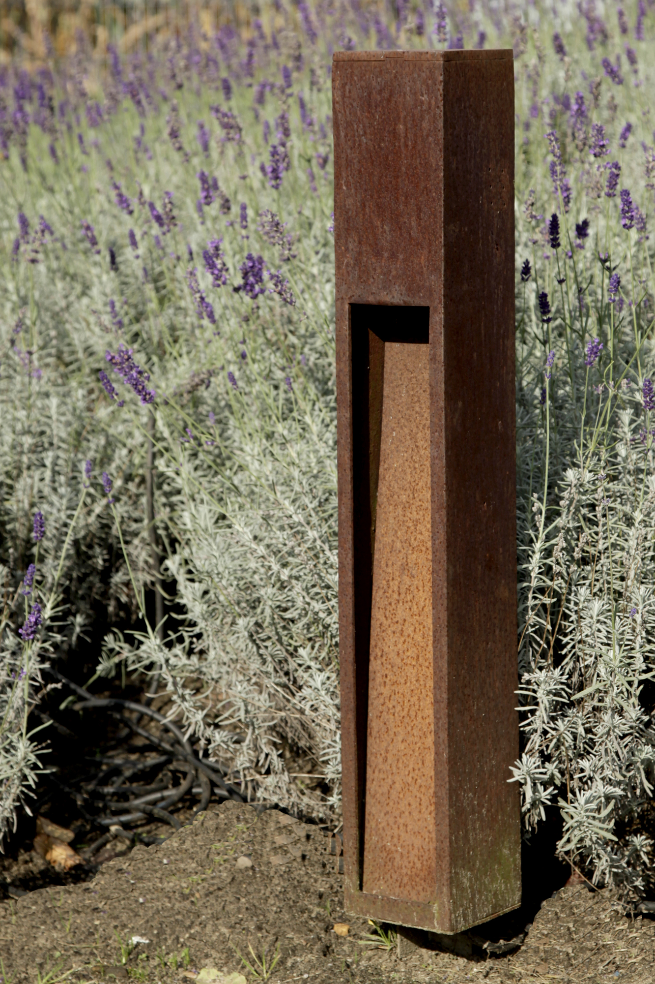 Beleuchtungsplanung › Lütkemeyer `Gärtner von Eden´