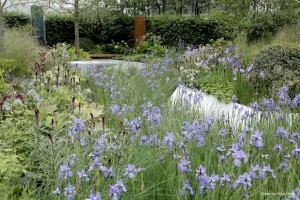 Gartenoasen-Natur-MG_8506